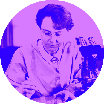 Barbara McCLINTOCK (1902-1992)